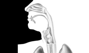 hoarseness
