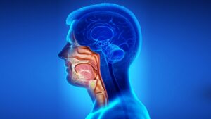 Head & Neck Cancer